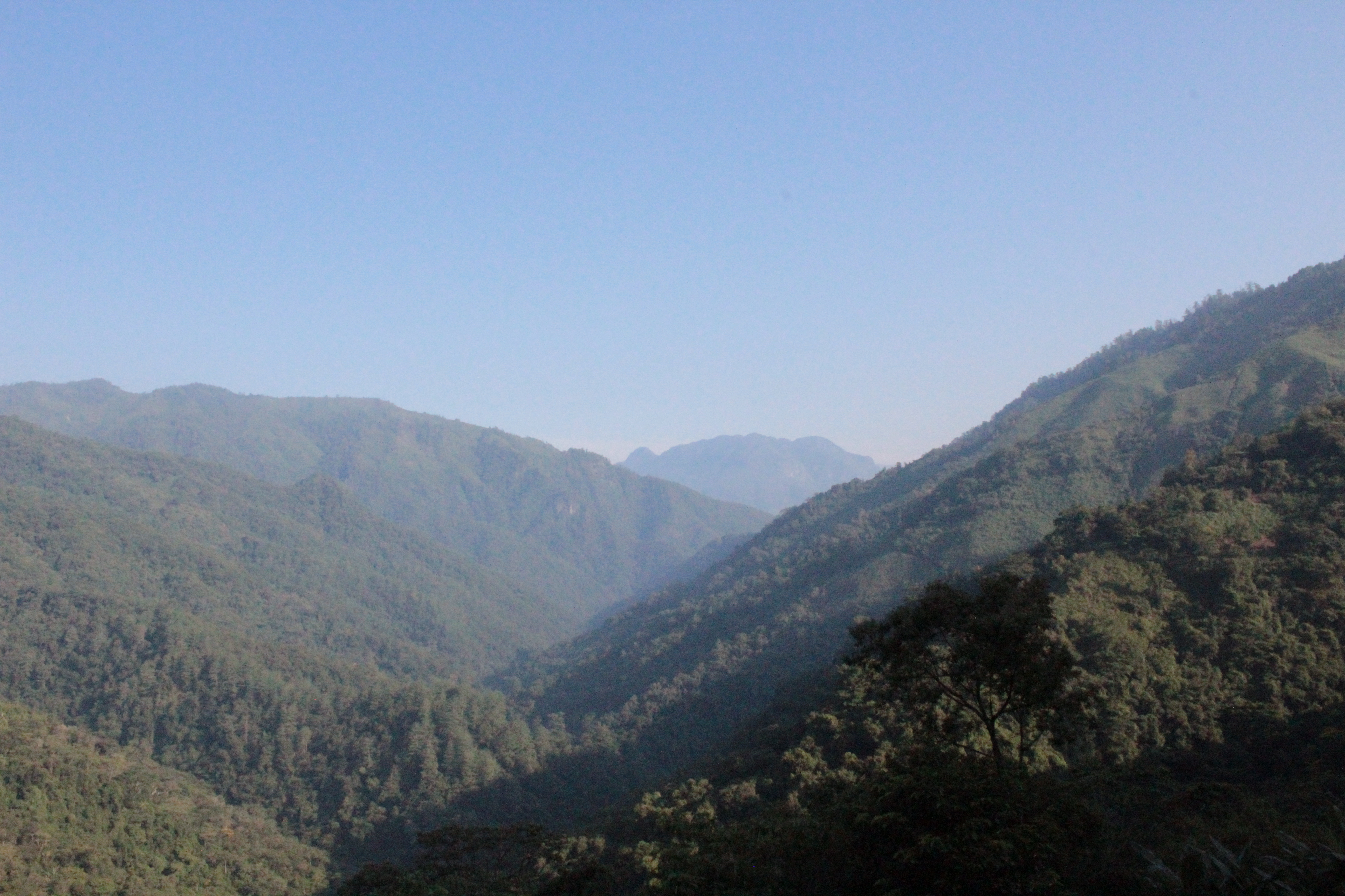 Tropical mountains